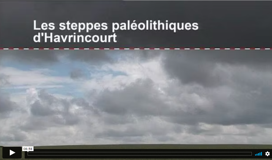 Les steppes paléolithiques d'Havrincourt