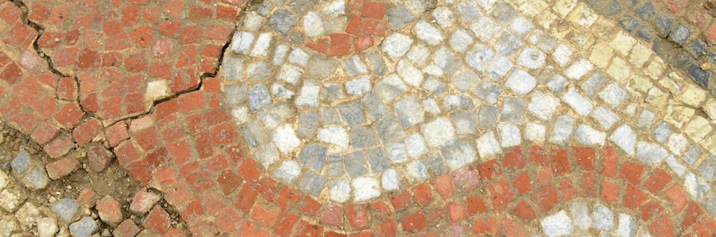 Détail d'une mosaïque polychrome d'une domus de la seconde moitié du IVe s. de notre ère, Auch (Gers), 2017. © Jean-Louis Bellurget, Inrap