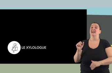 Les experts de l'archéologie : le xylologue 
